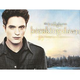Illustration for article titled The Truly Terrible Twilight Merchandise